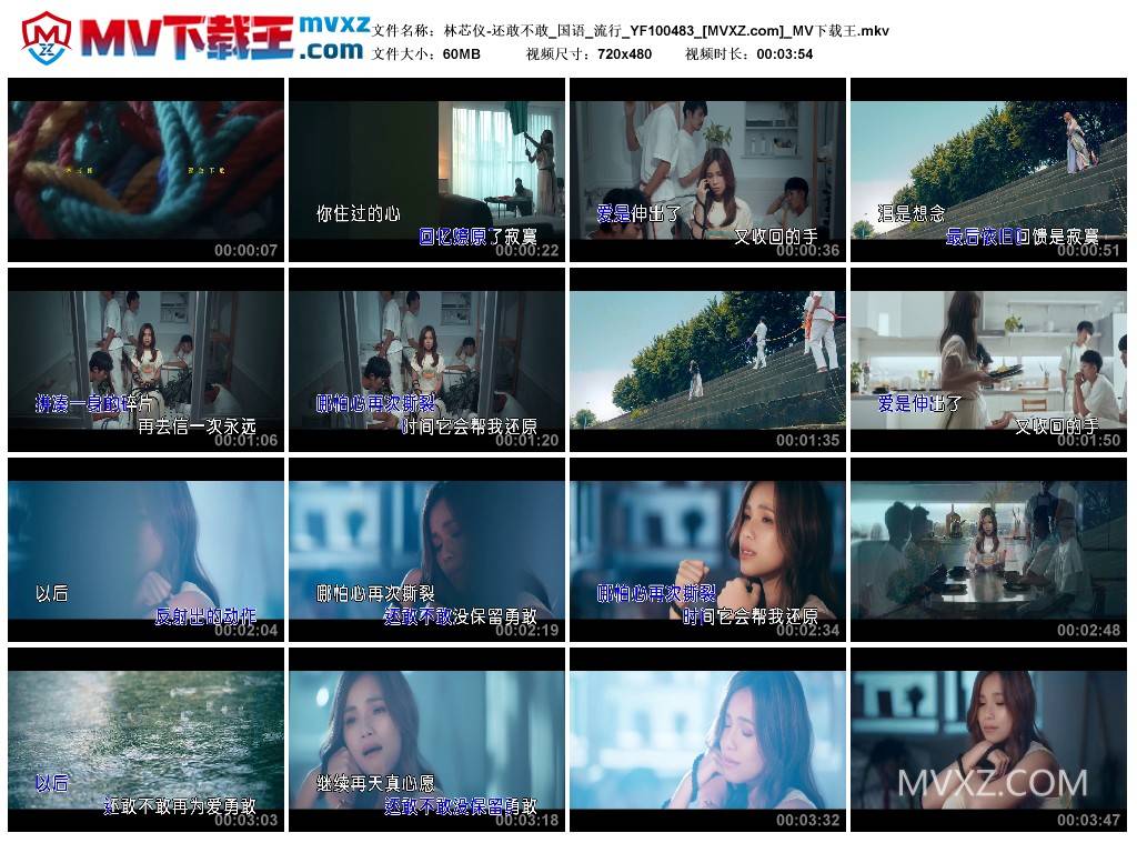 林芯仪-还敢不敢_国语_流行_YF100483